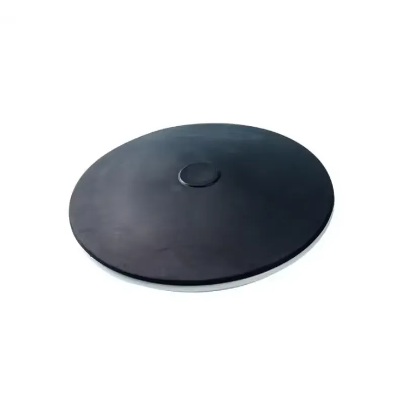 1pcs 10pcs 215mm Fine Bubble A - Air Diffuser Disc Bubble Aeration Pond review and price
